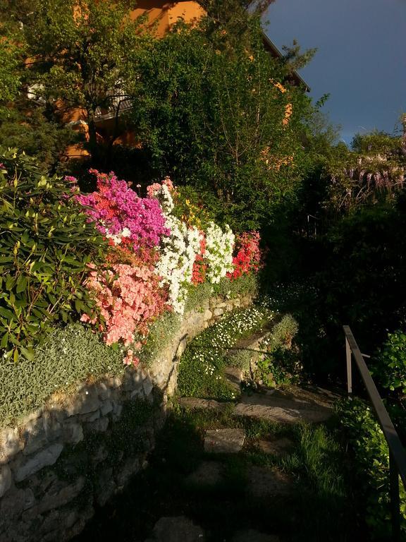 Willa Casa Vacanze Le Violette Brunate Zewnętrze zdjęcie