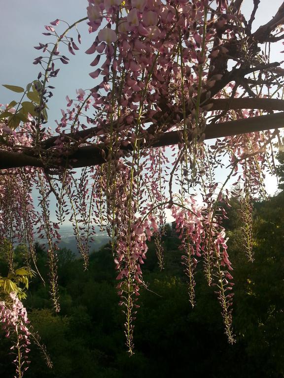 Willa Casa Vacanze Le Violette Brunate Zewnętrze zdjęcie